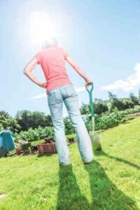 Keep Your Cool: Avoid Heat Stress Image